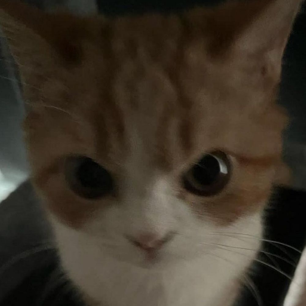 둠시기