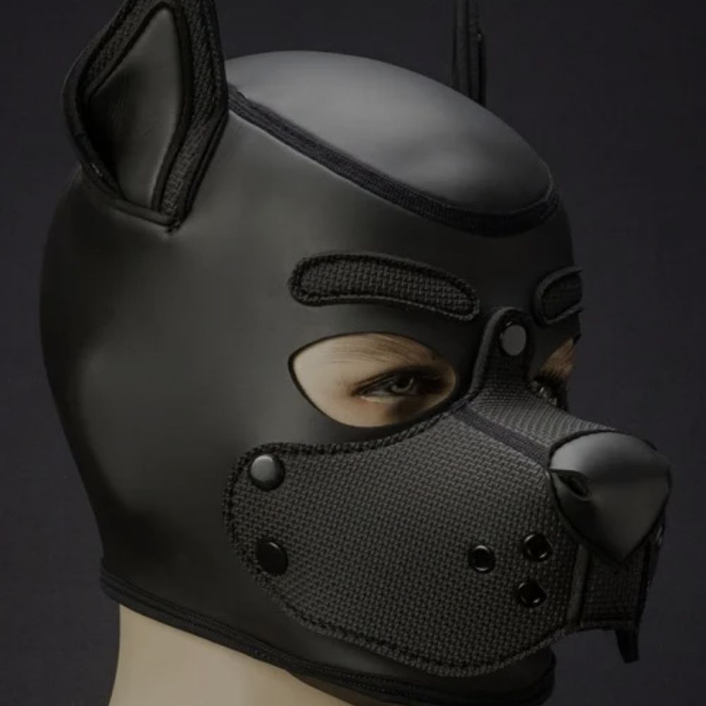 Pup *unknown*