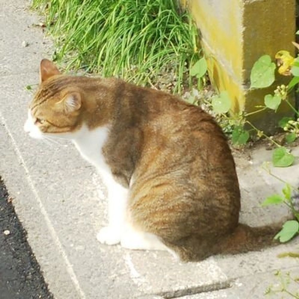 アーゴン