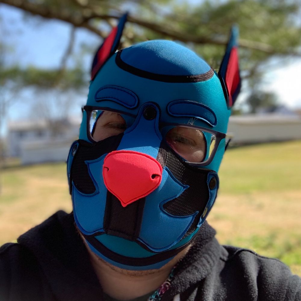 Pup Arlen