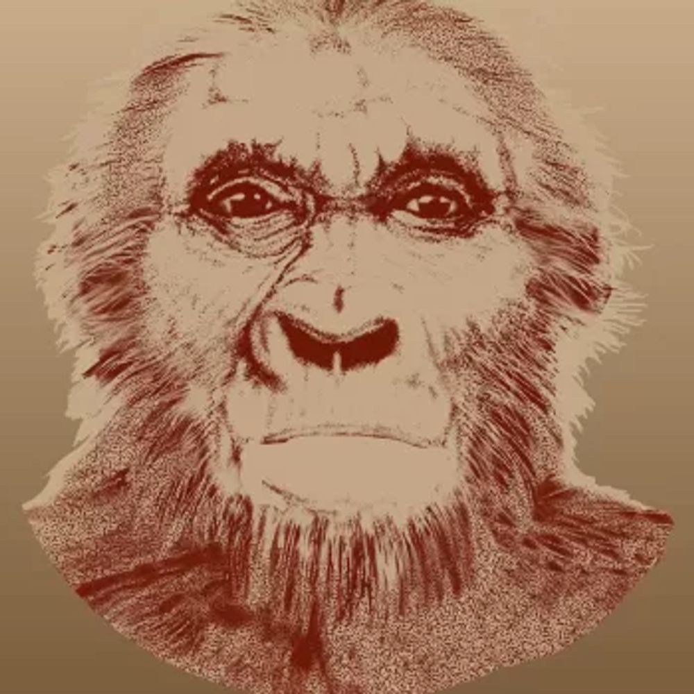 pitecopata