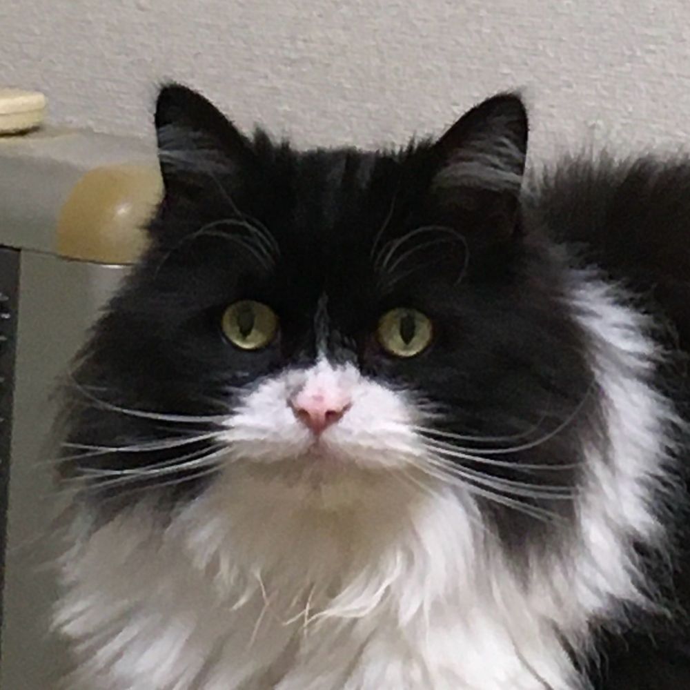 まうさま