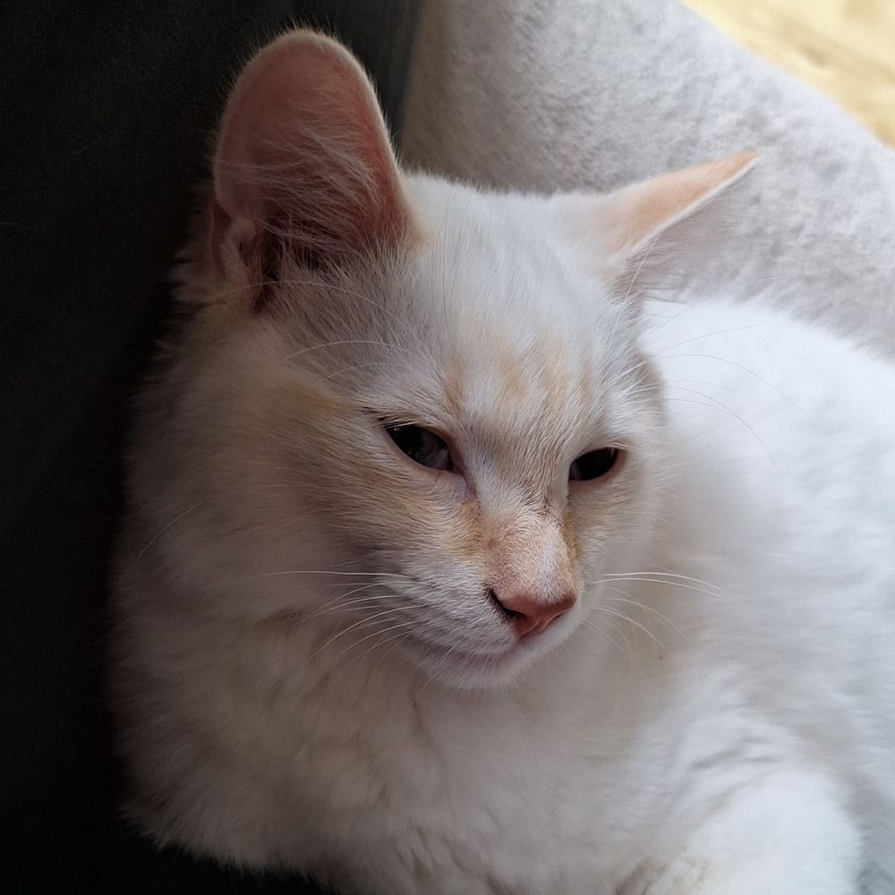 Chloë