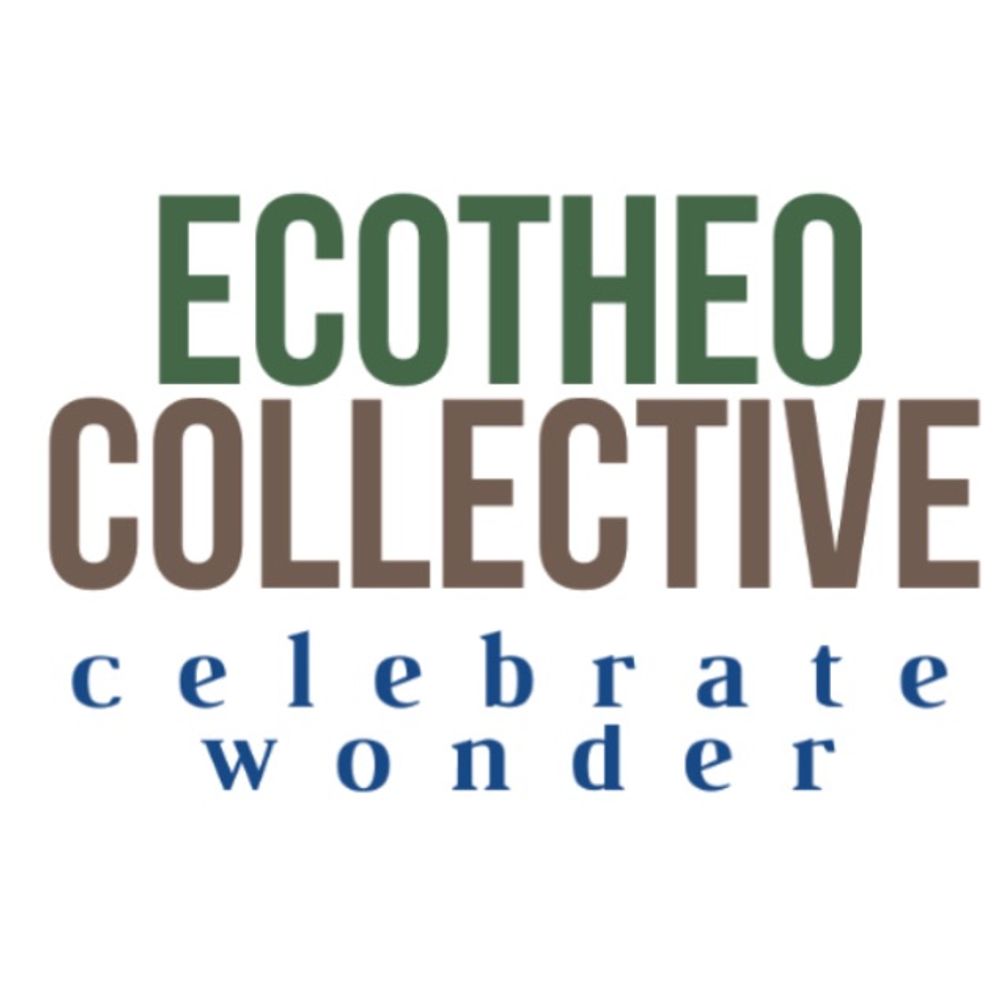 EcoTheo Collective