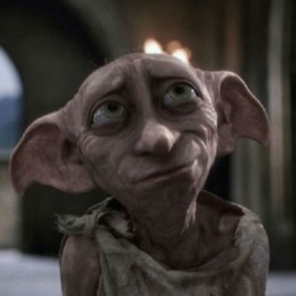 Dobby