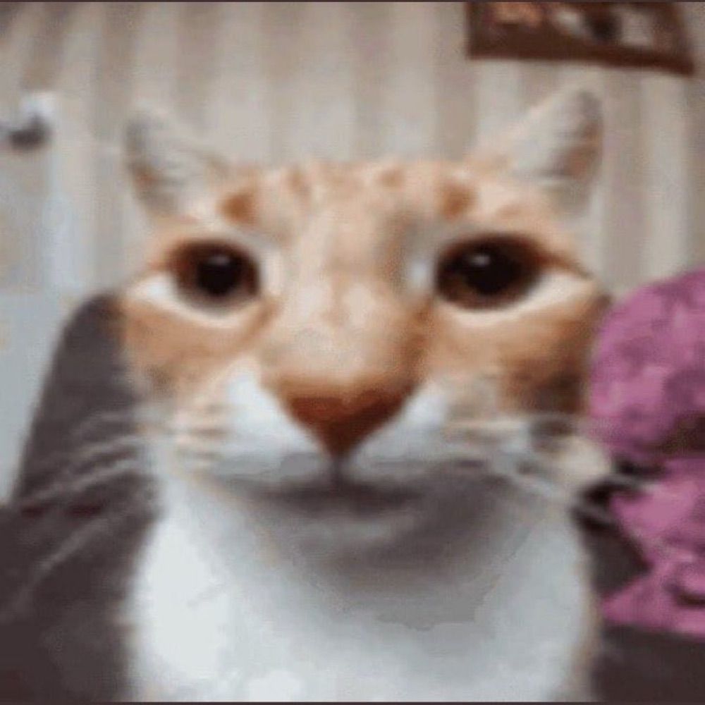 juno
