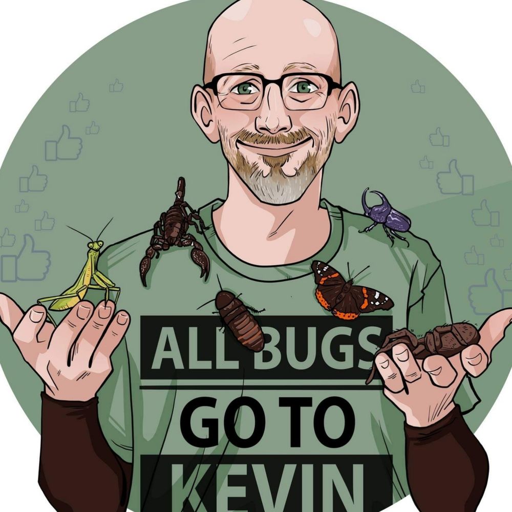 Kevin Wiener's avatar