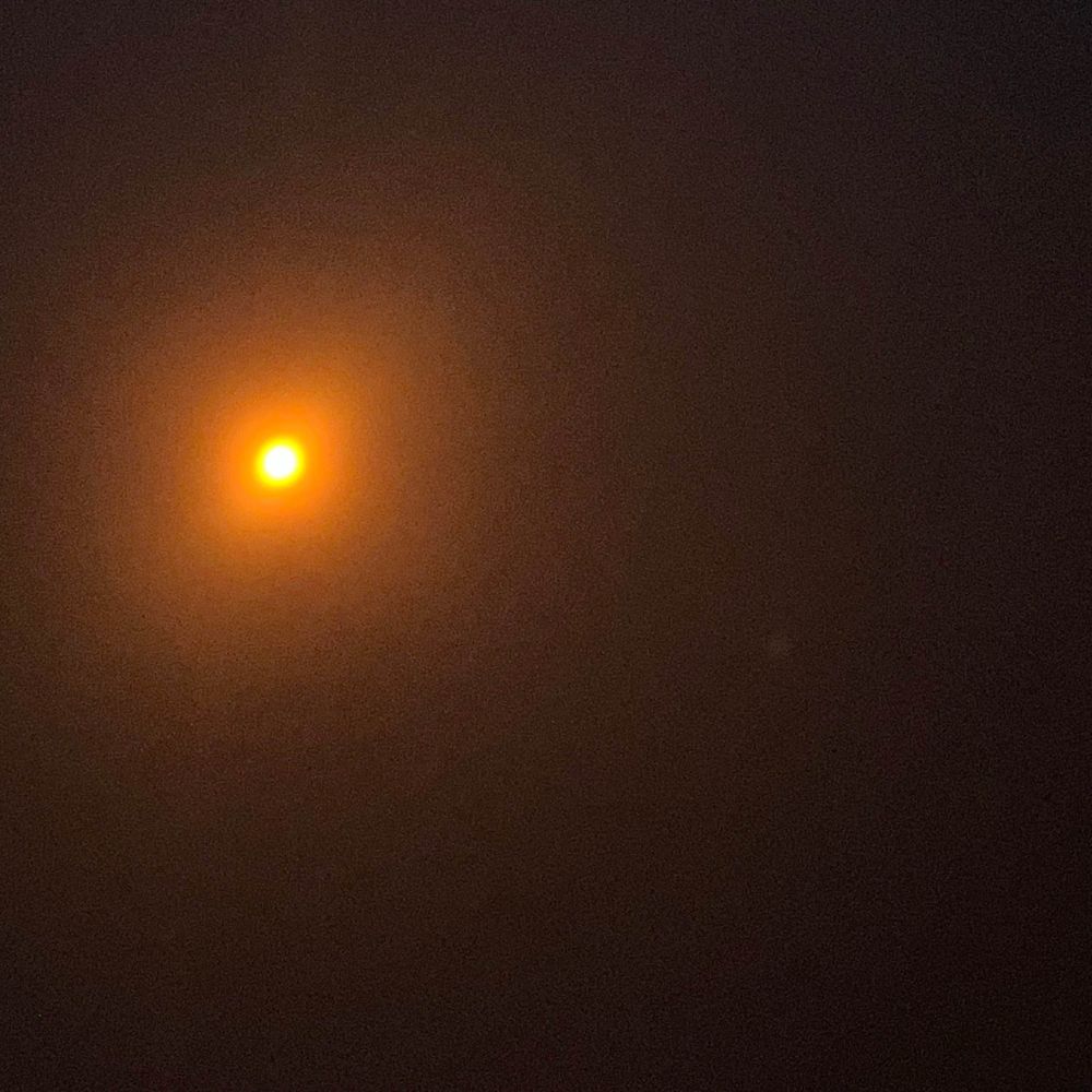 anotherpalebluedot