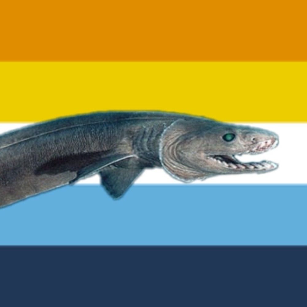 fishu 🐟