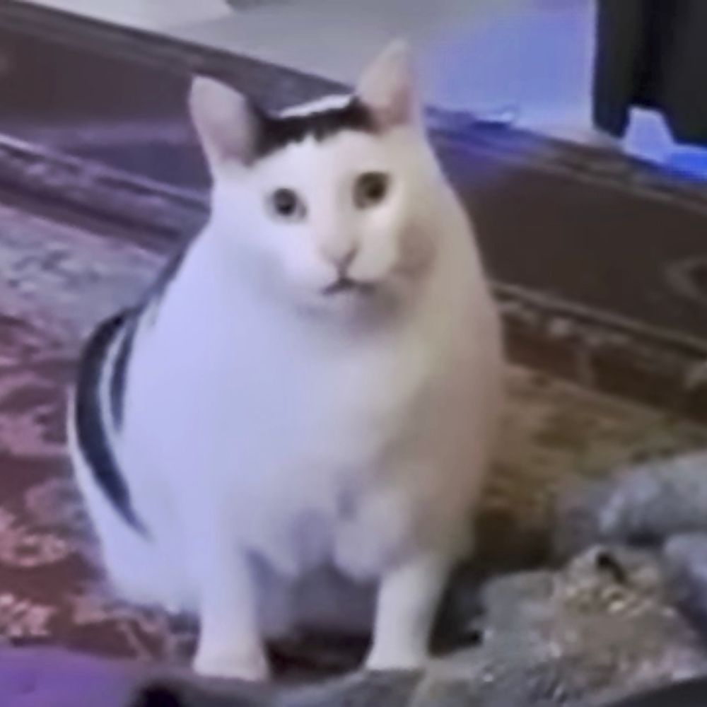 ナナカゼ