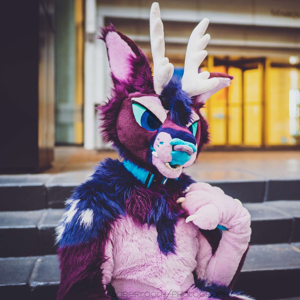 Kell 🦌