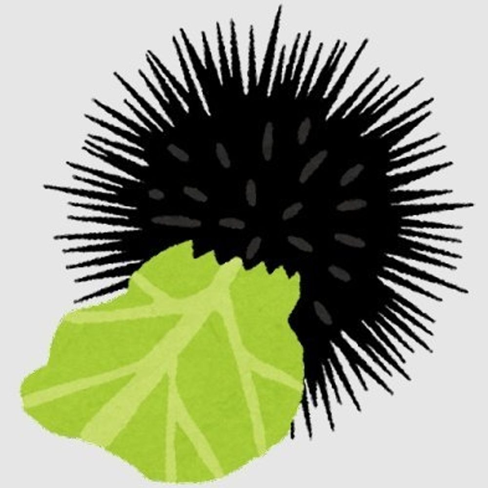 新堂まきた