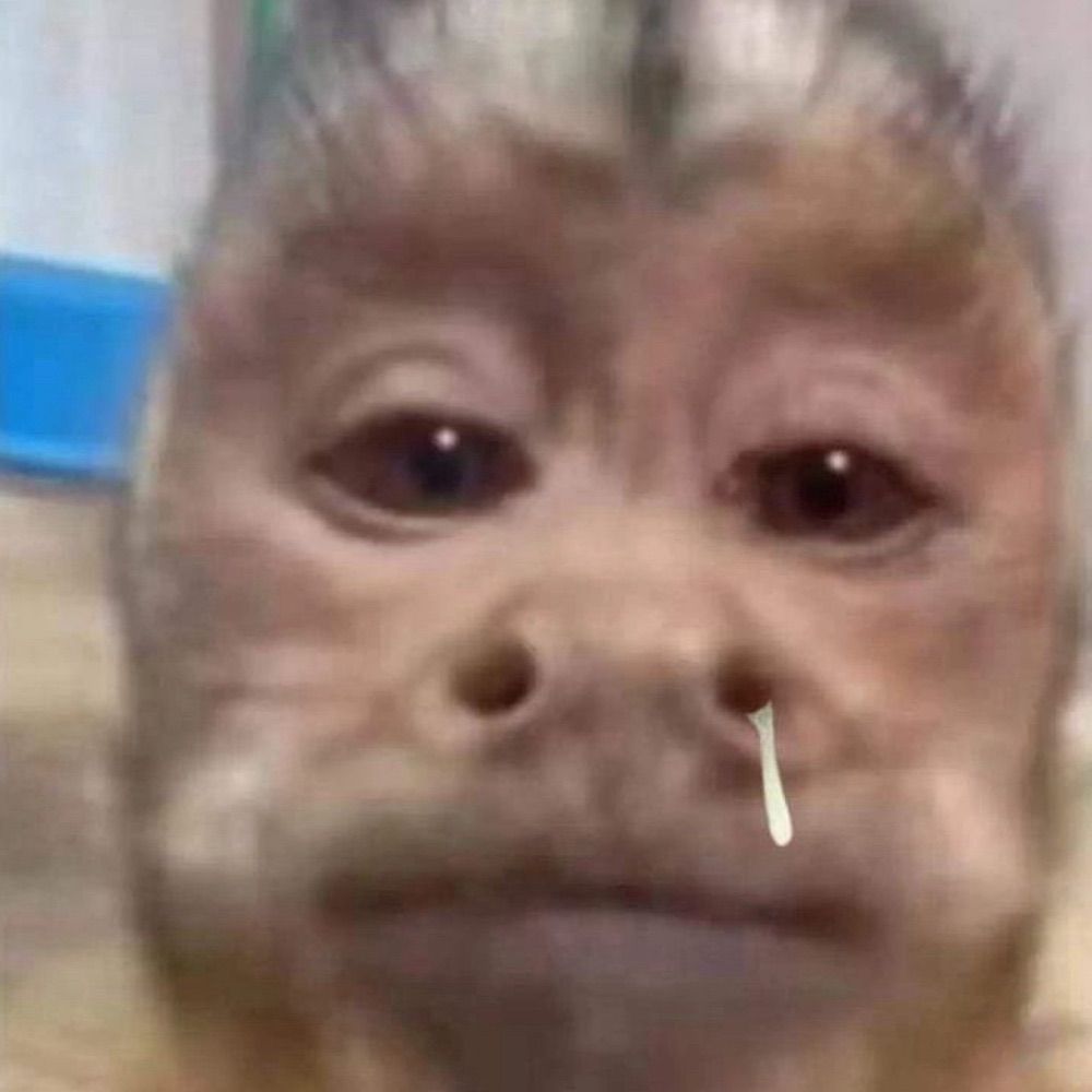 🐶