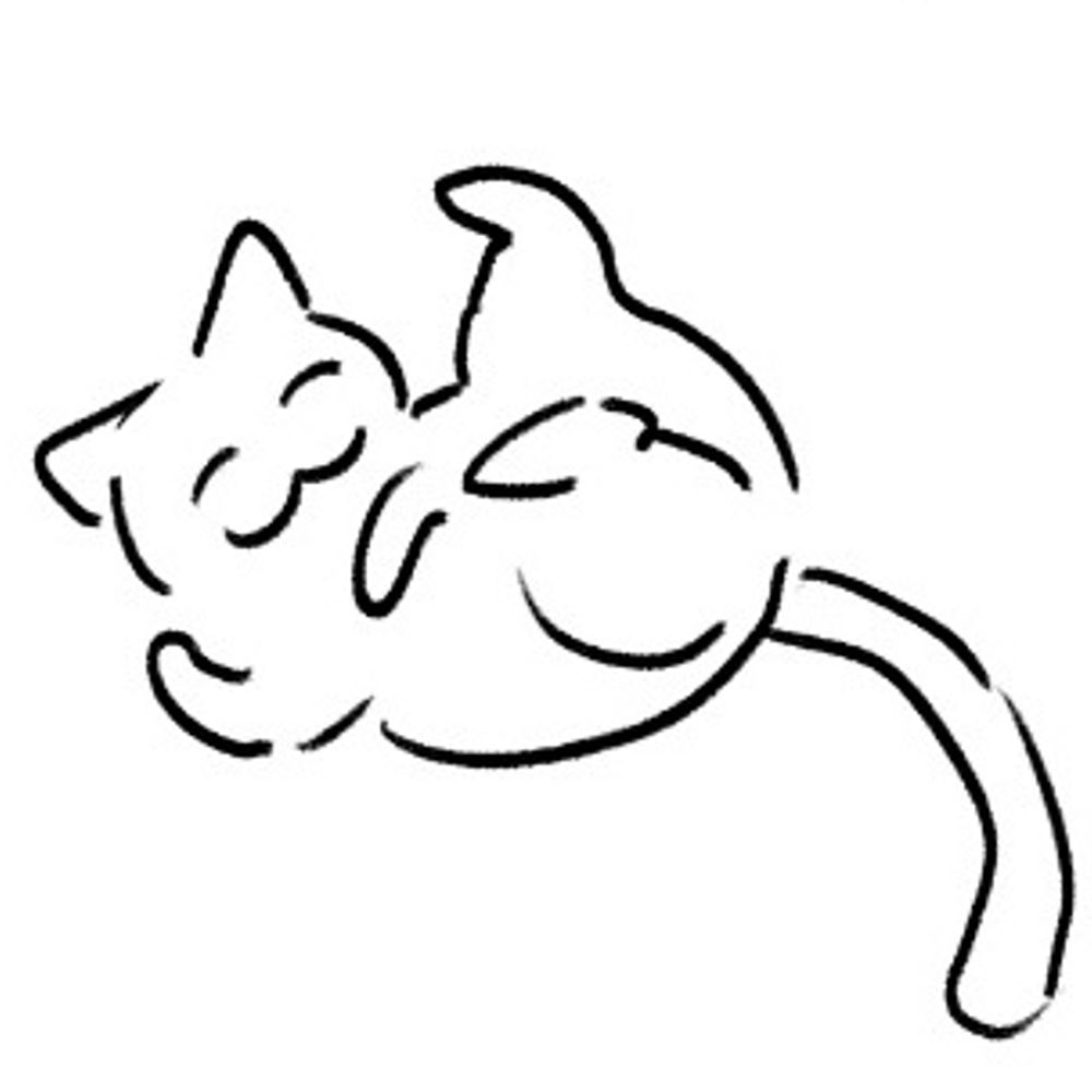 미로롱🐳