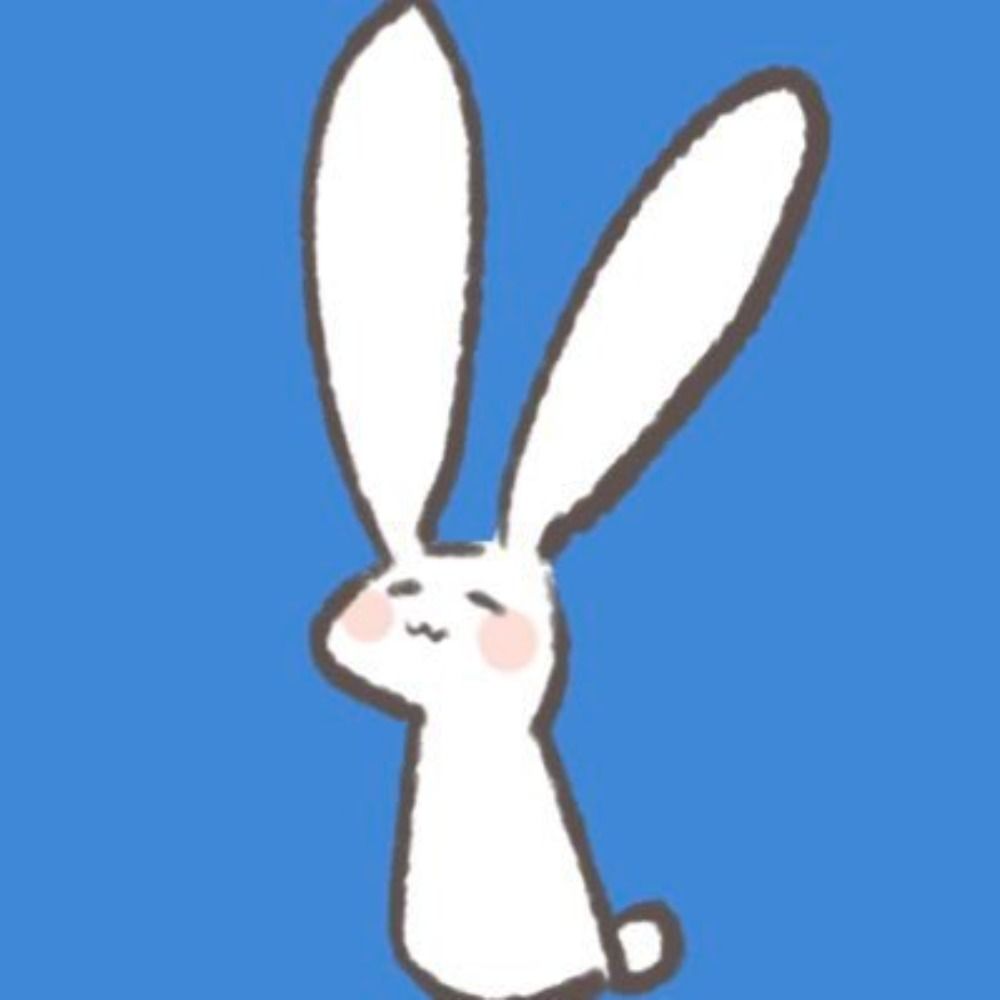 お布団シュナイダー