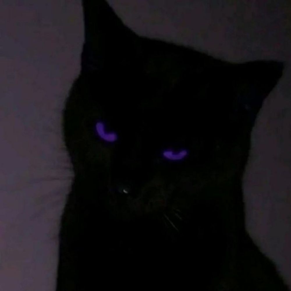 BlackP