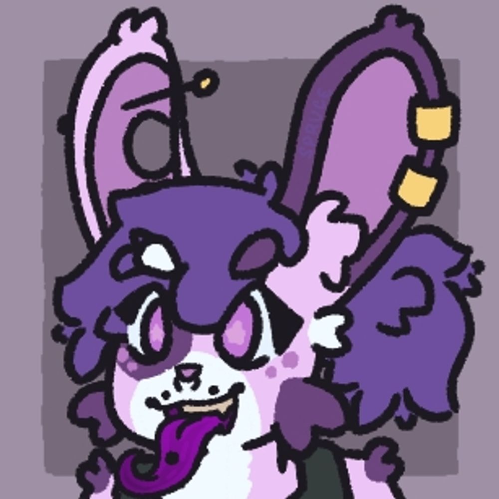SpruceBunb0