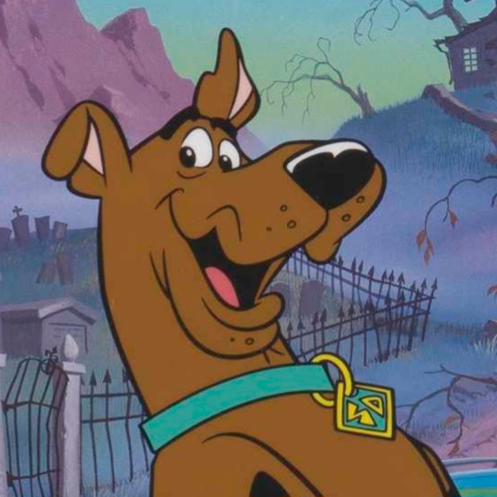 Scoob