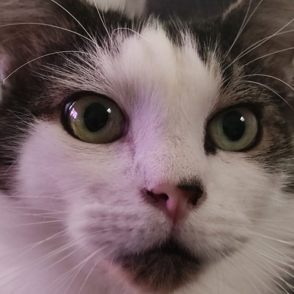 Naminette