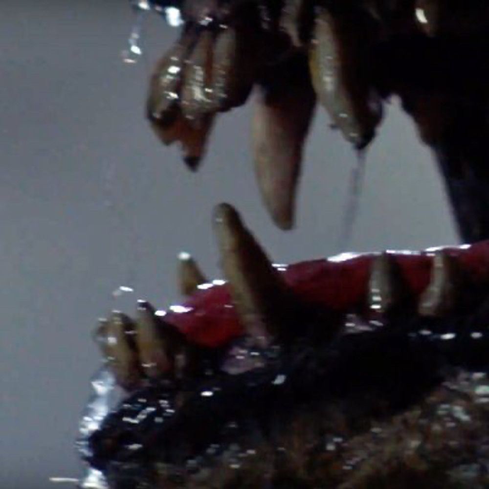 Werewolf Titles