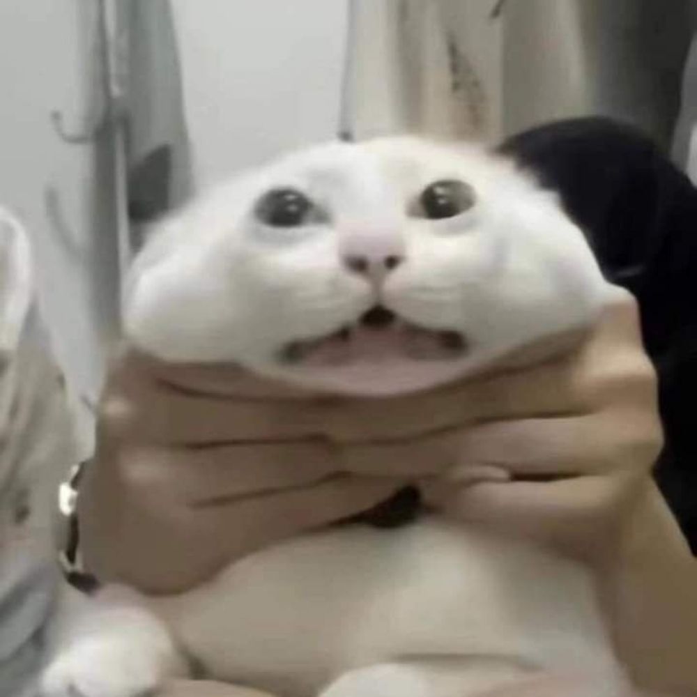 Gatu ismagadu