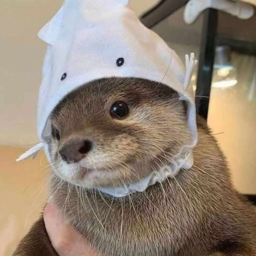 quack