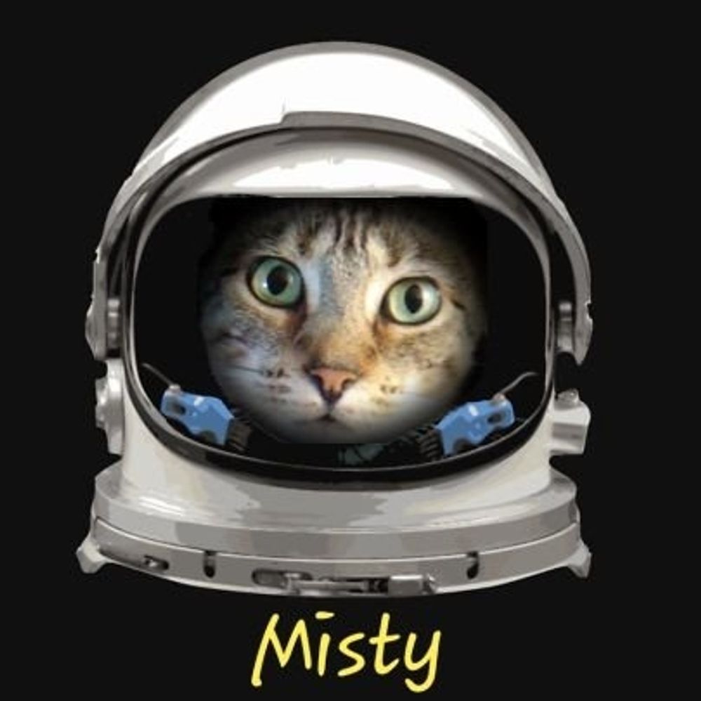 MistyKitty3's avatar