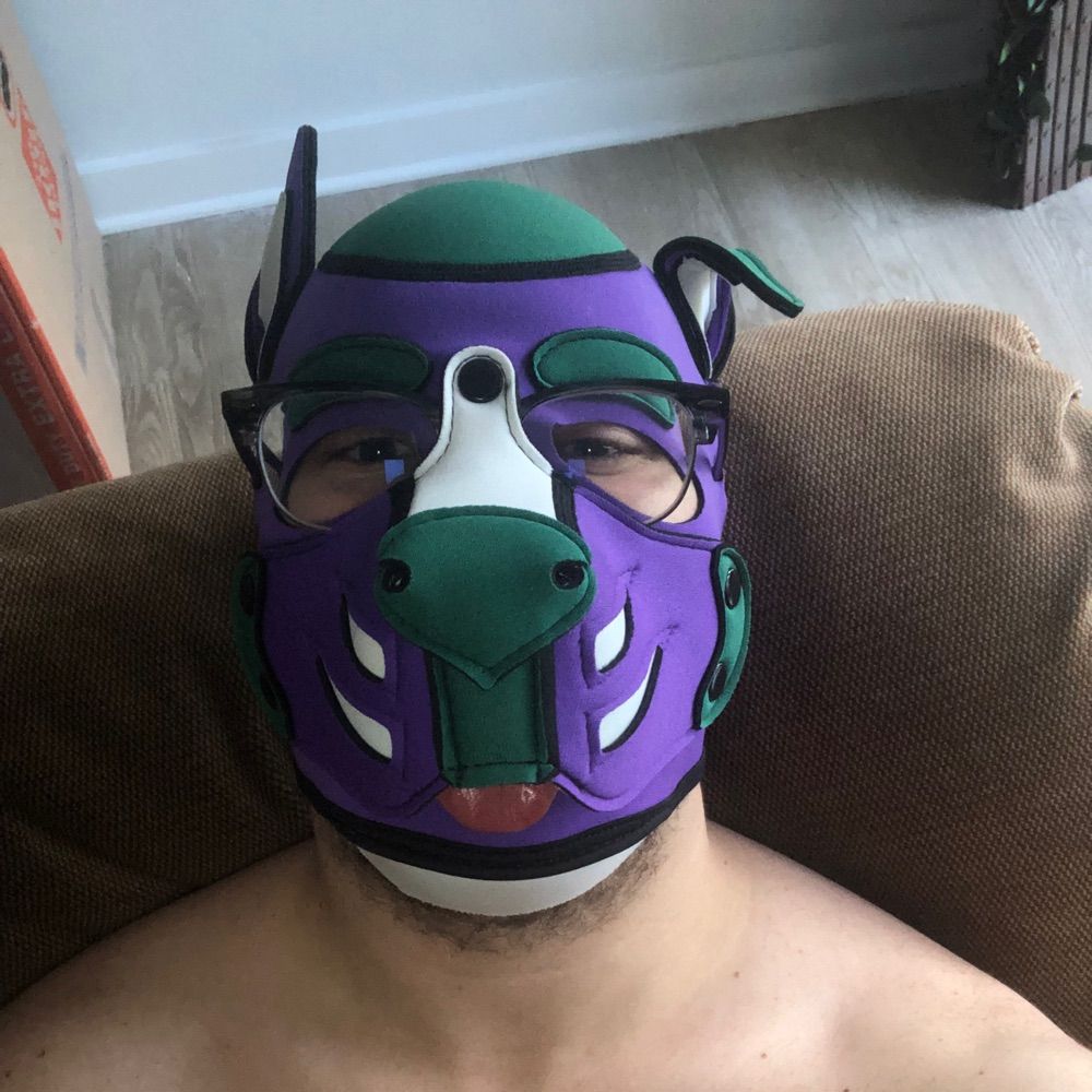 Pup Comet