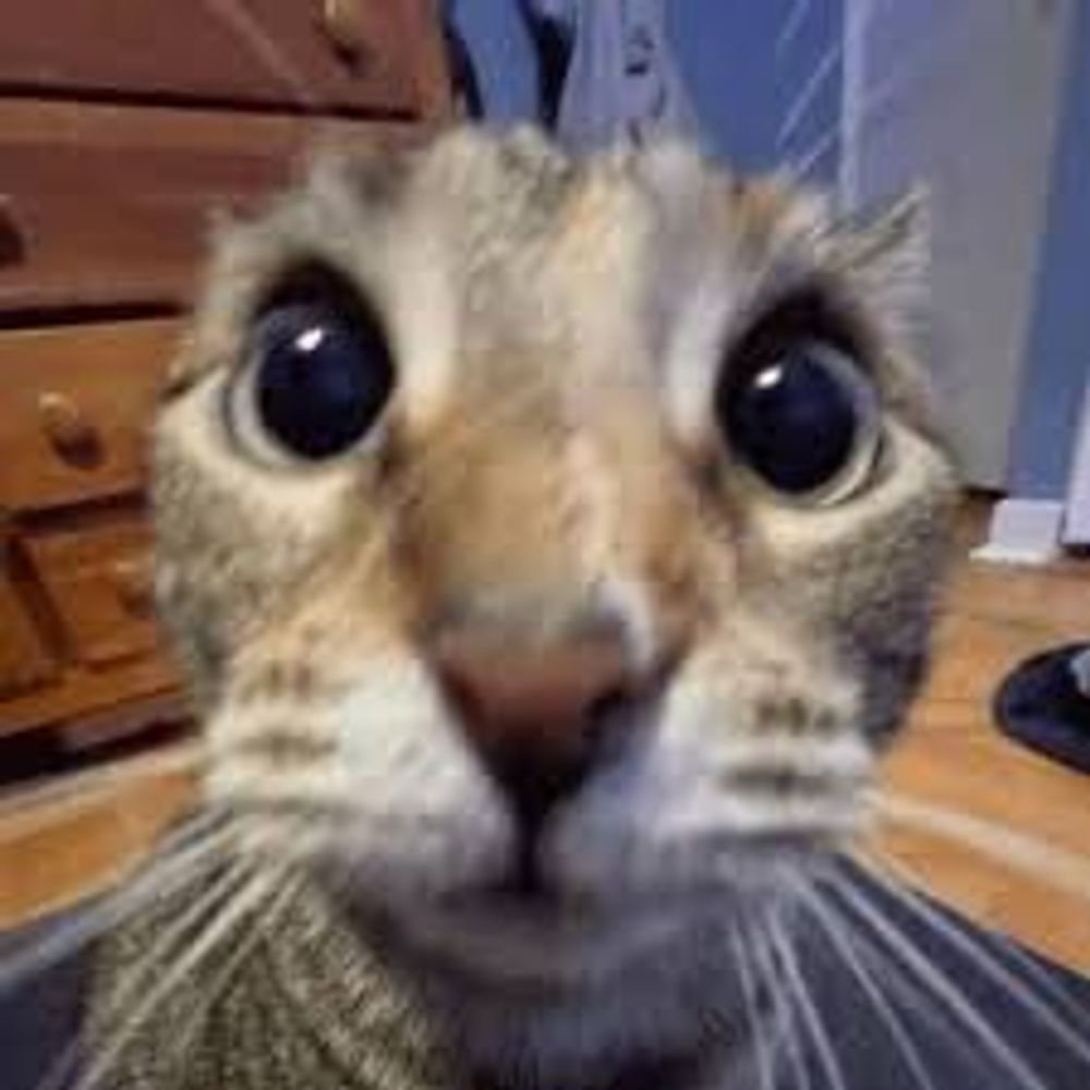 creamycaramel.bsky.social profile picture