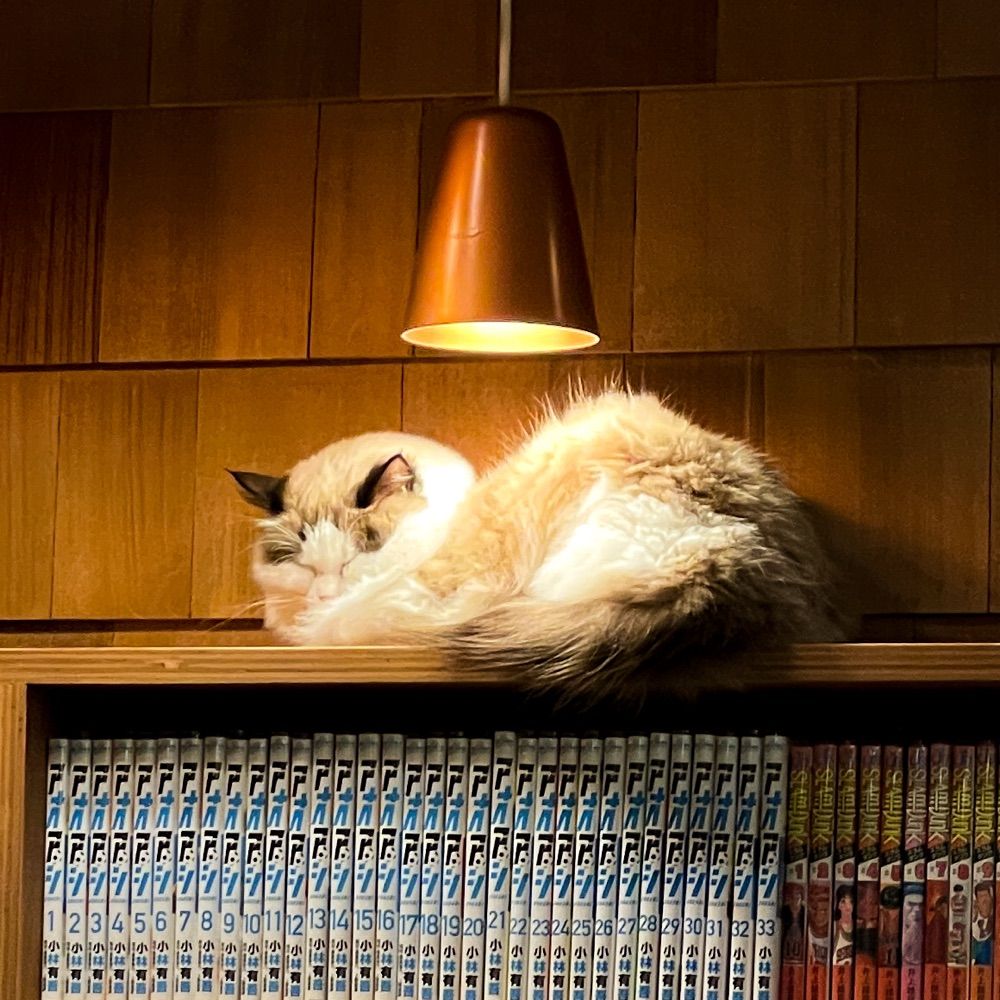 春