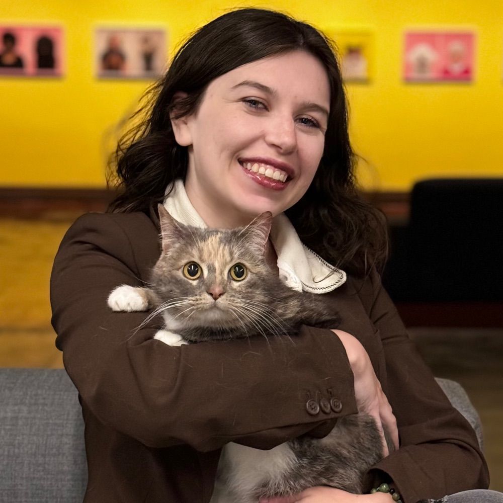 Toph the TV Cat