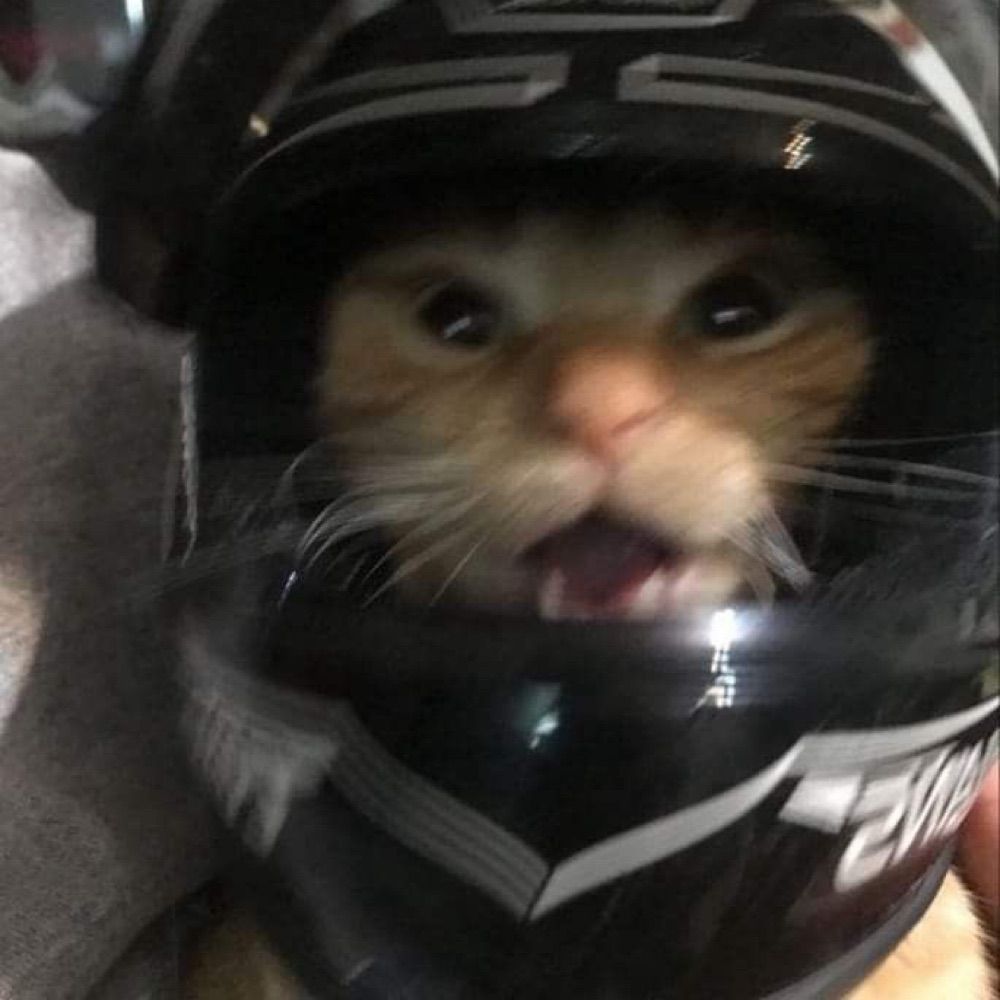 Nico