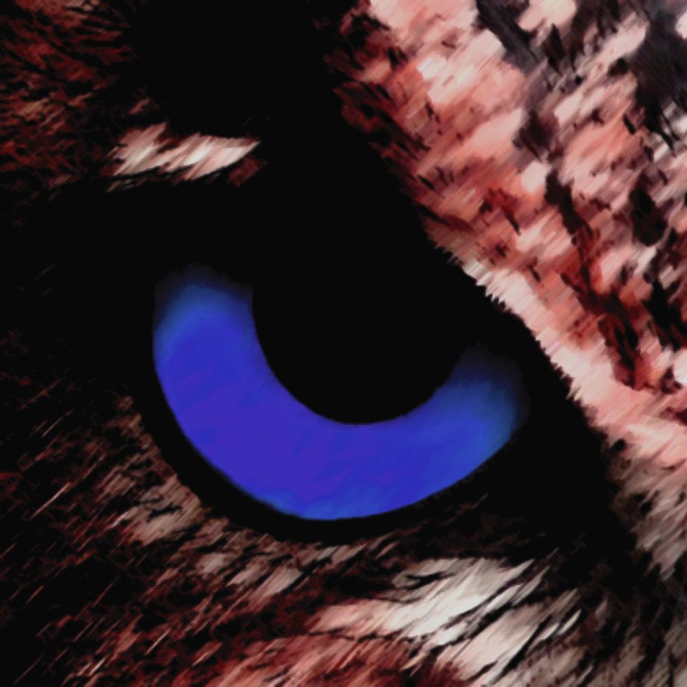 Insomni-Owl