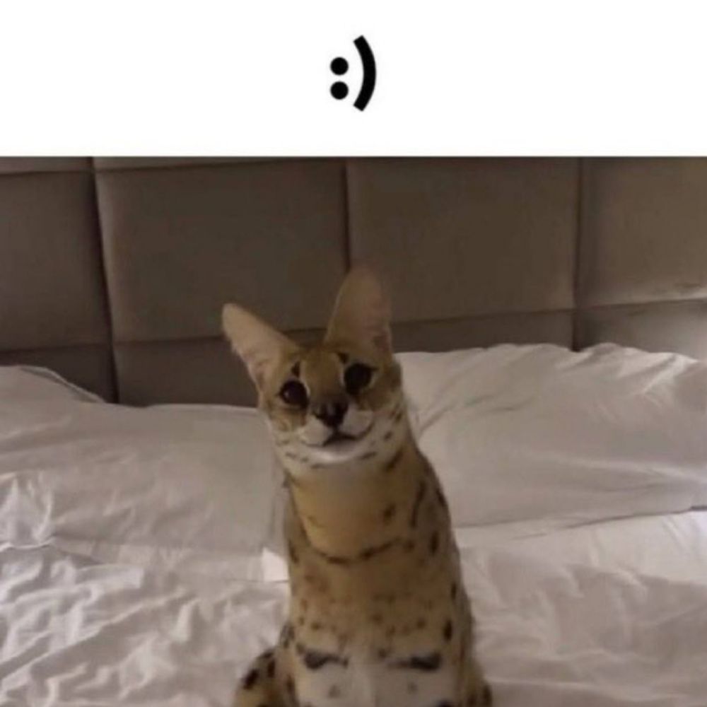 D-I-V