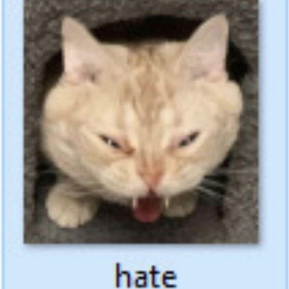 caju