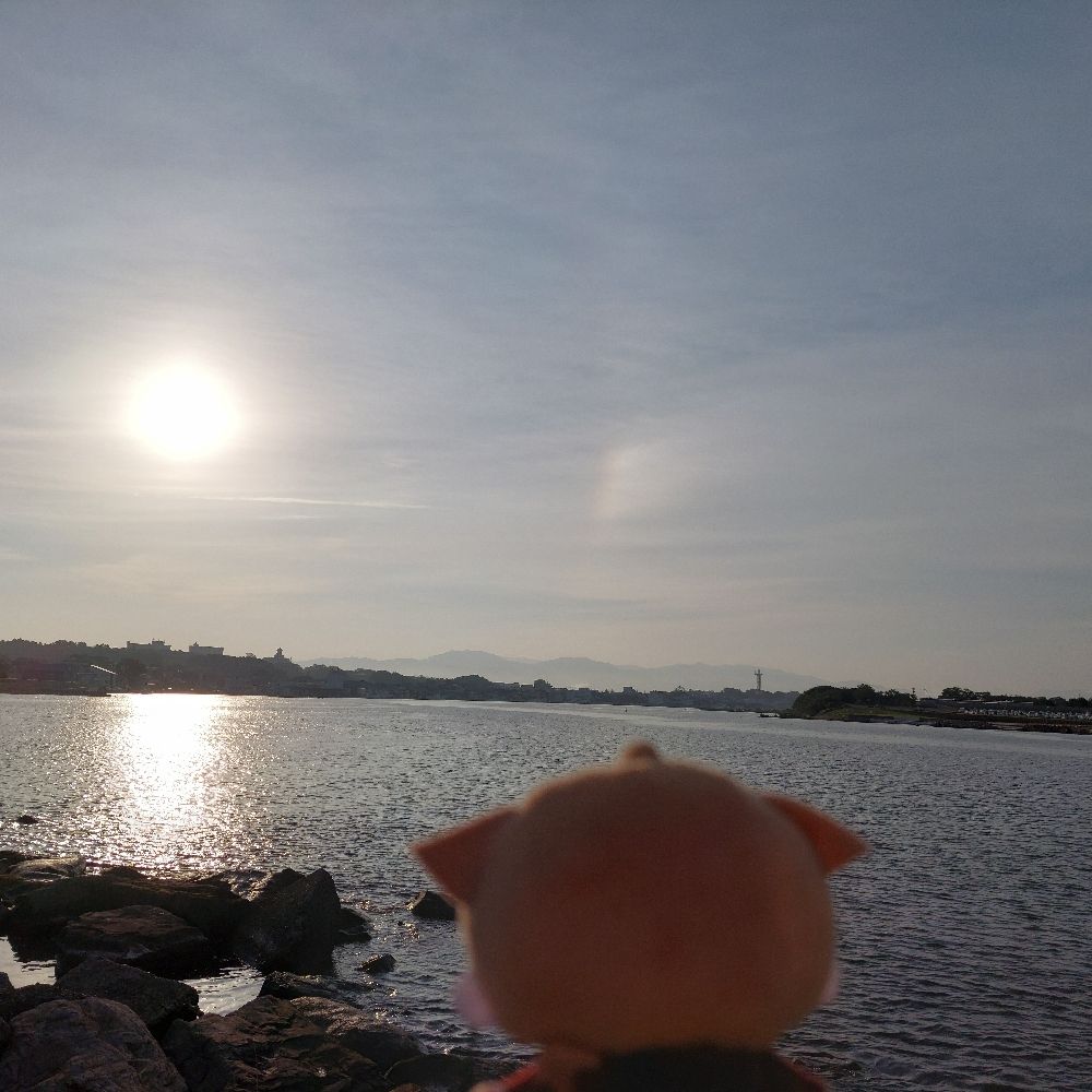 ヘデエケ