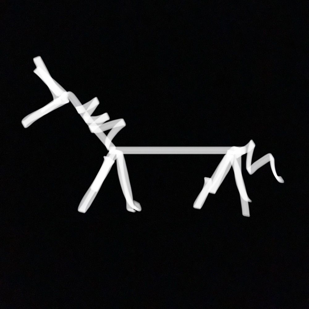 Xrayed Night