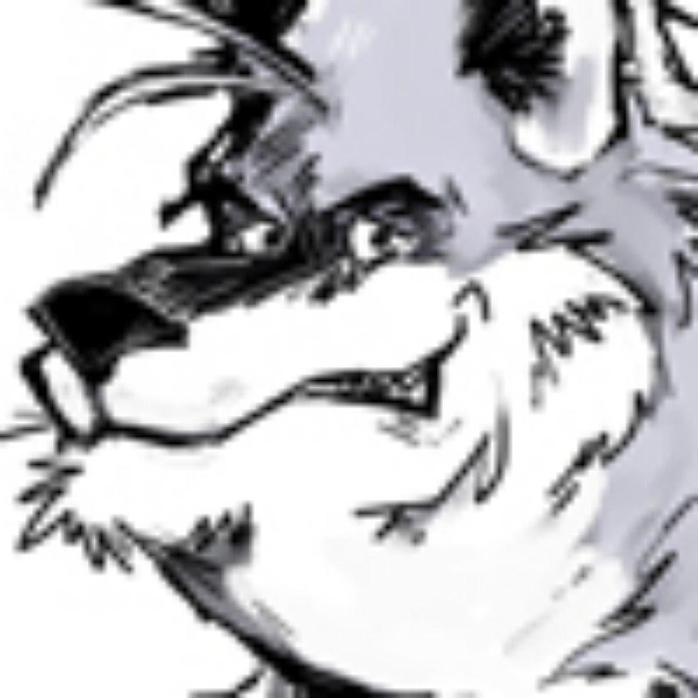 SpiritedFox