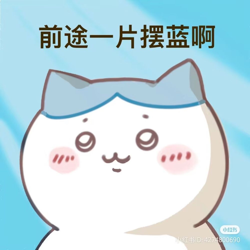 Ms.油菜花
