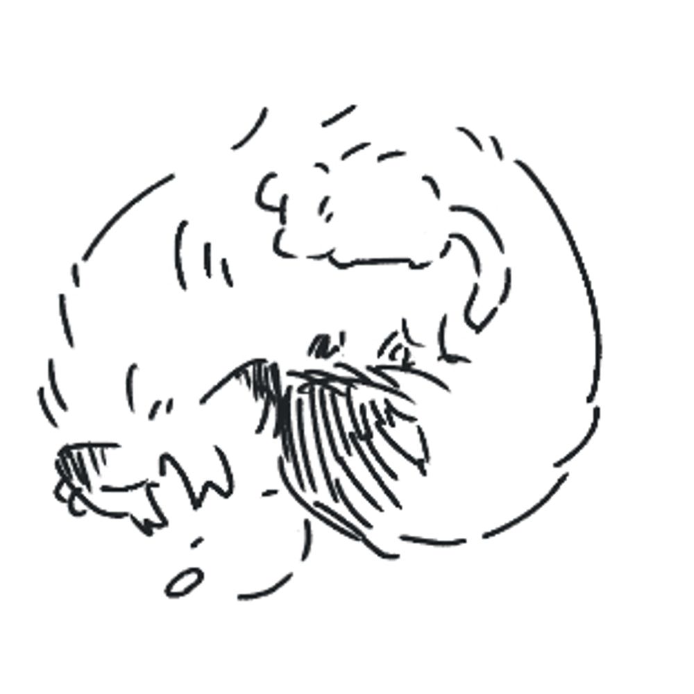 24