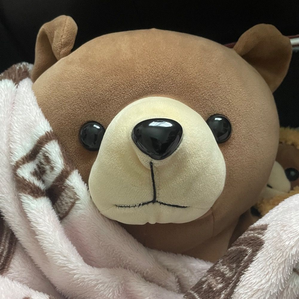 おびんちゃん