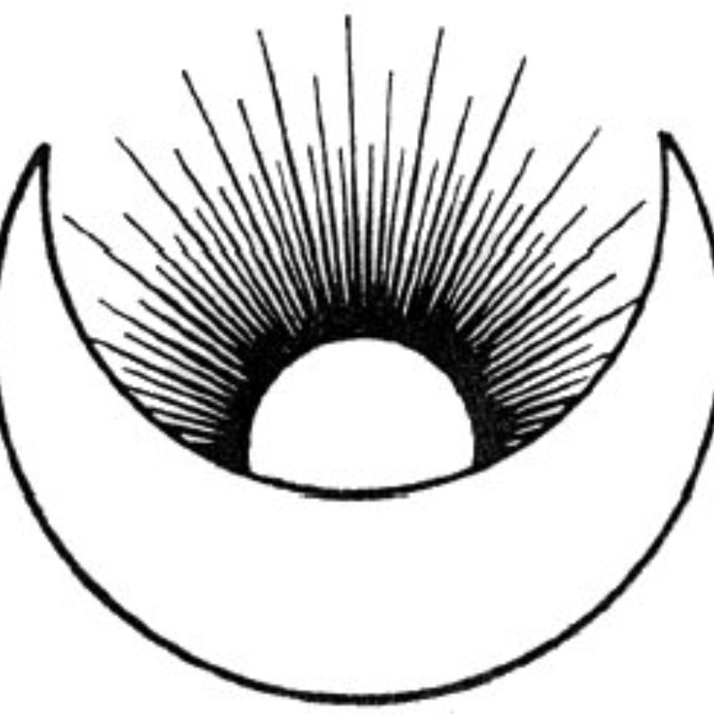 dmy