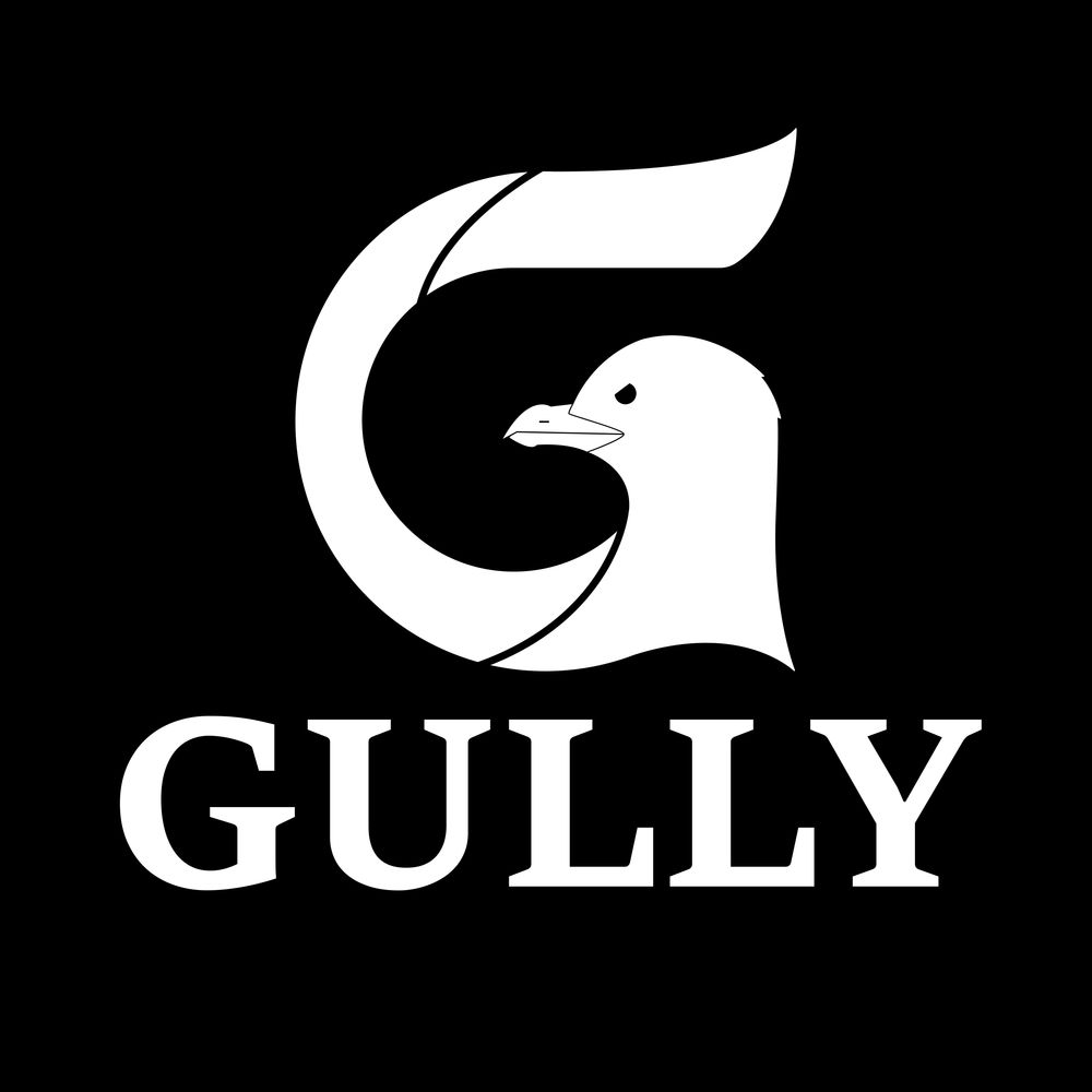 Gully
