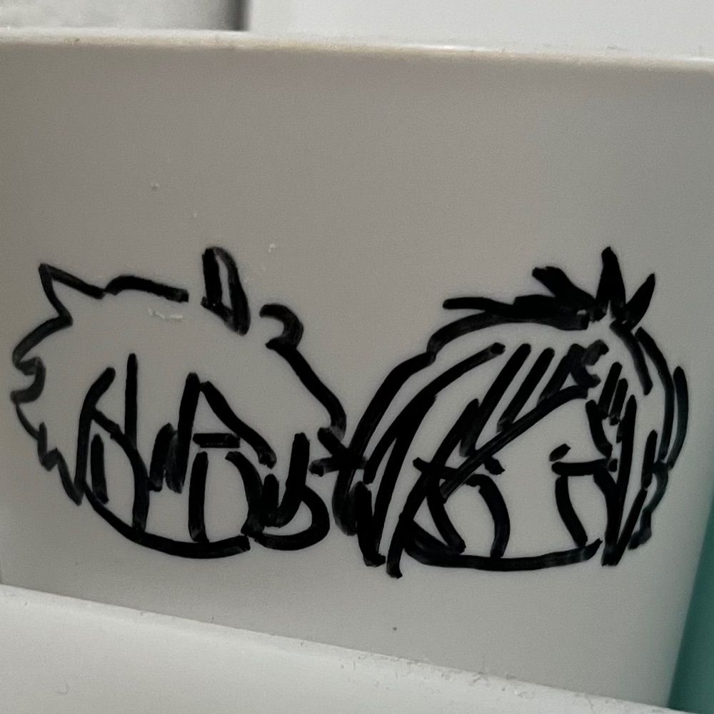もぁち🐶
