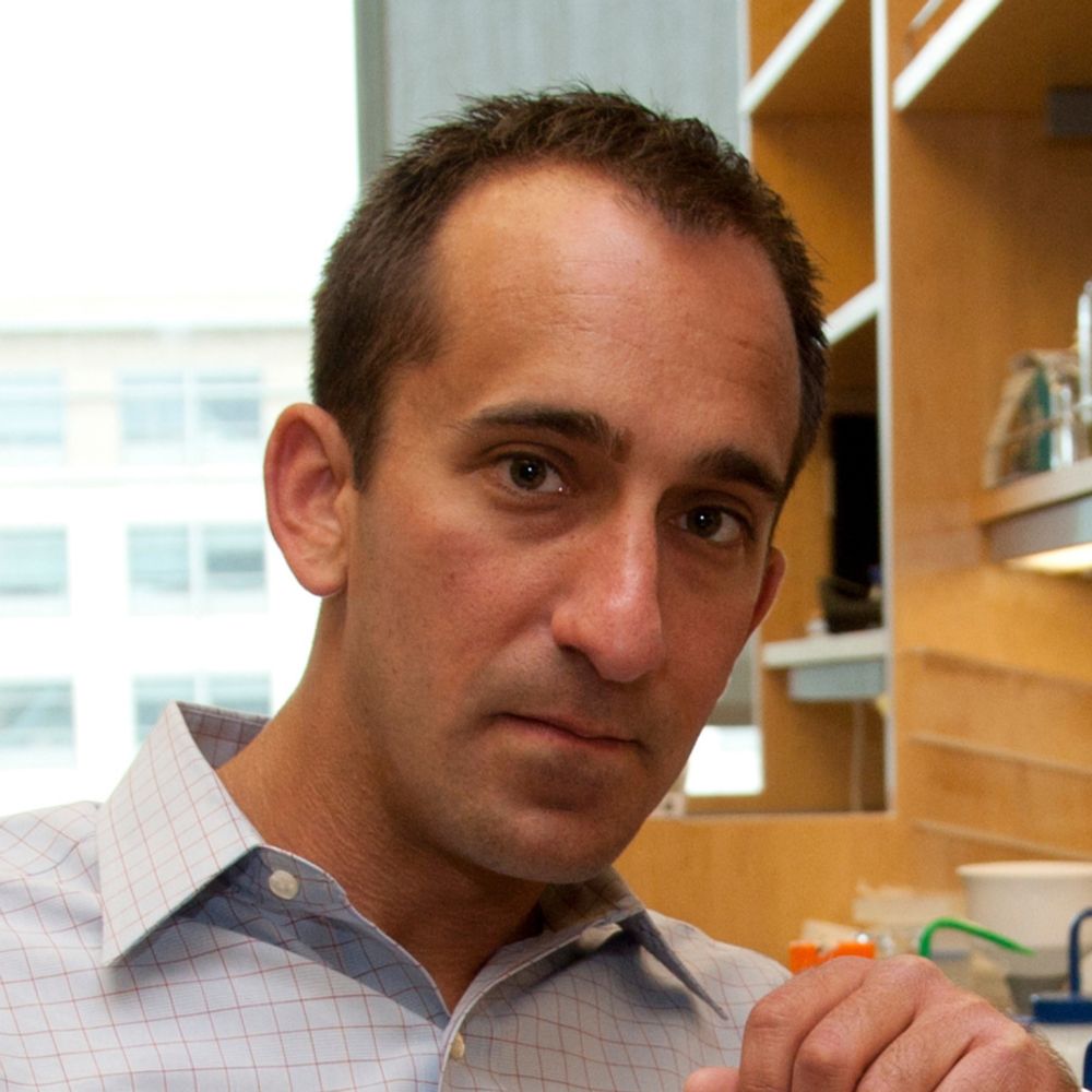 Michael Fischbach