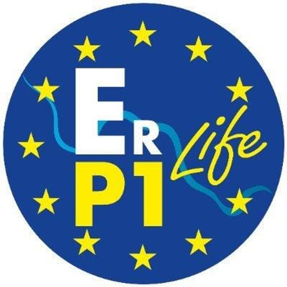 proyecto LIFE EBRO RESILIENCE P1🇪🇺