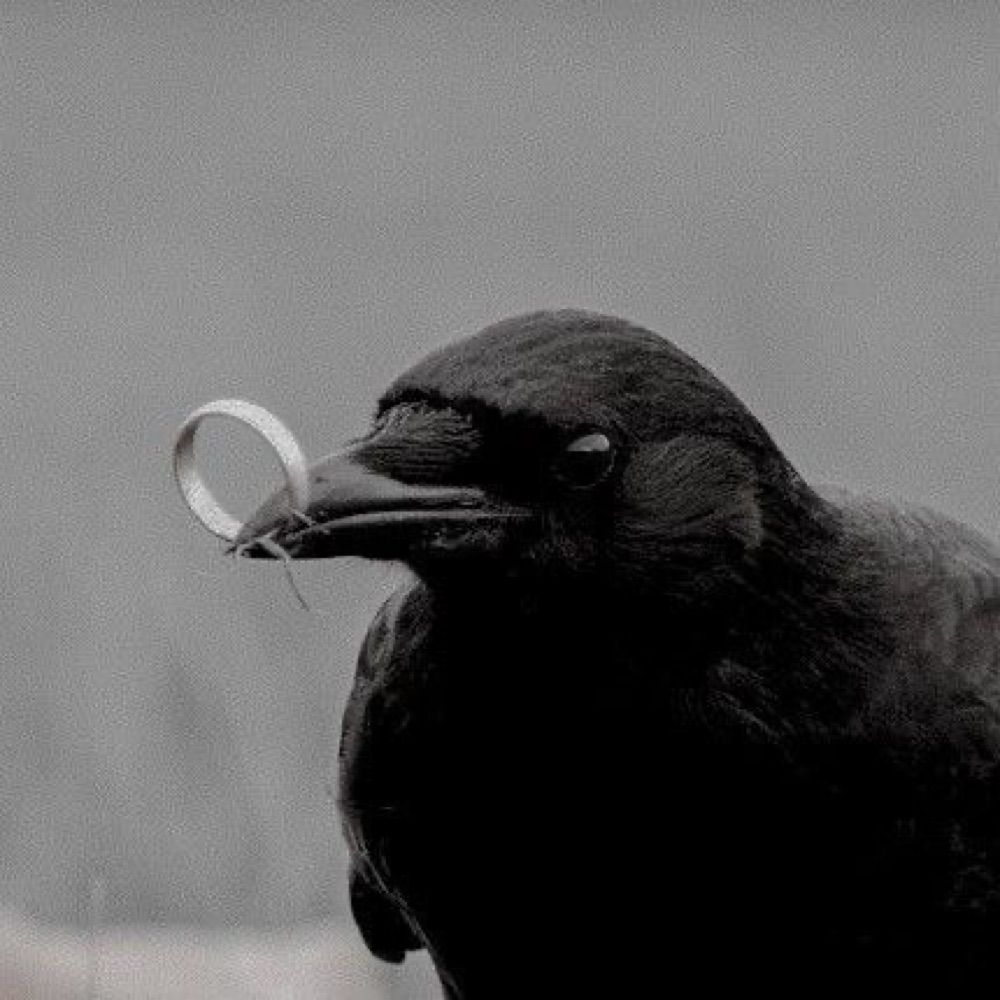 RavenWitch17