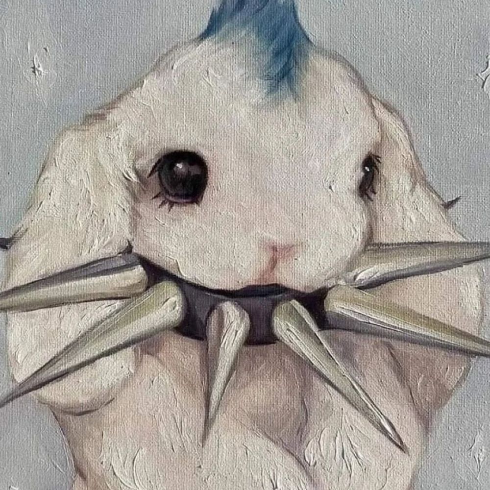 Koichitz 