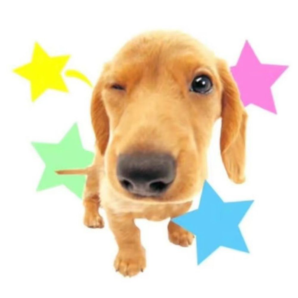 roo