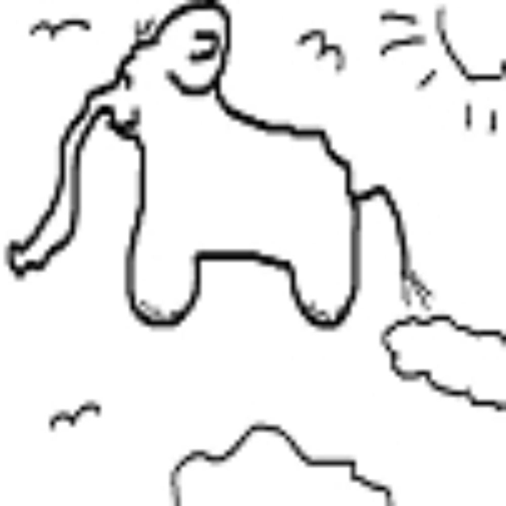 Electroacoustic Elephant  🐘 Snorkel-Phant's avatar